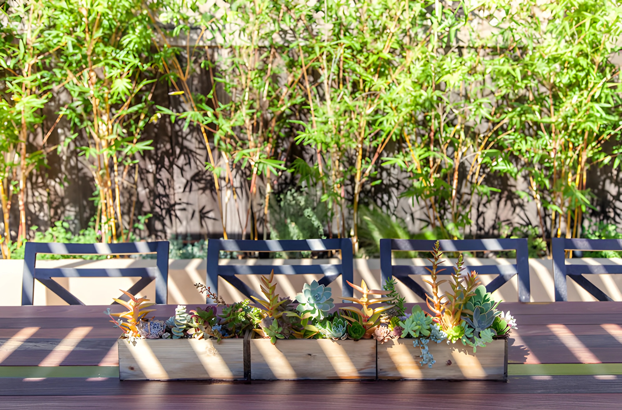Outdoor dining table with succulent planters and bamboo screening by M2